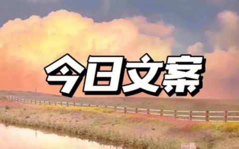 影视解说文案生成器让你快速生成优质文案！引流推广方法助你快速涨粉