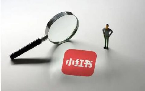 小红书赚钱全攻略，轻松掌握赚钱技巧