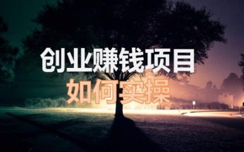 常见的互联网赚钱项目有哪些？目前最火的互联网项目