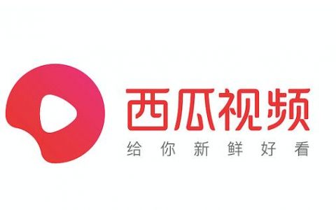 西瓜中视频伙伴计划怎么赚钱?手把手教你开通中视频伙伴计划