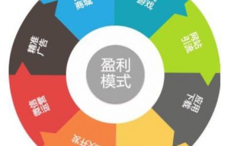 如何确定有效的盈利模？式应考虑哪些方面？