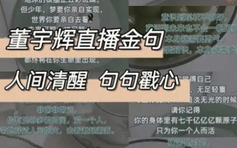 董宇辉的话太治愈了，董宇辉经典语录金句汇总
