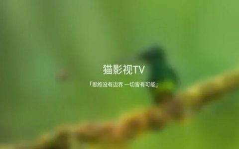 猫影视好用的接口大全软件有哪些？