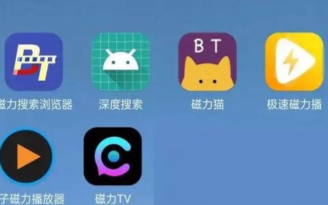 磁力搜索在线：深入解析与正确使用