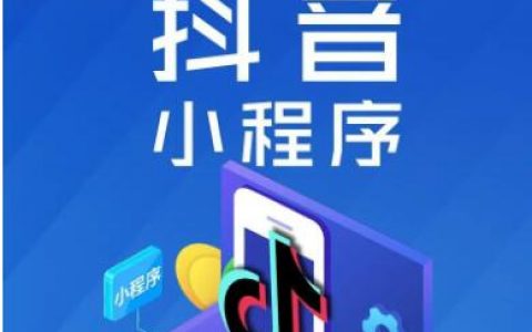抖音小程序开放平台是什么？有哪些？抖音小程序开放平台的挂载标准是什么？