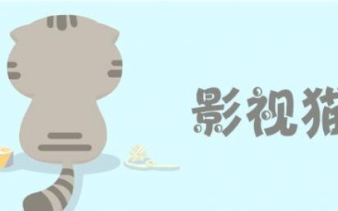 猫影视好用的接口大全软件有哪些？猫影视配置接口是什么？