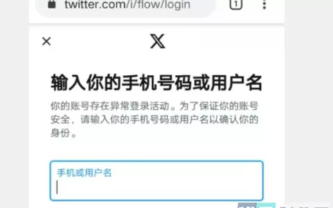 X推特登录验证用户名：Twitter用户名登录详细指南！